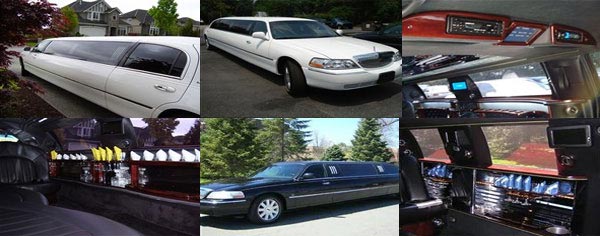 Delta Limousine