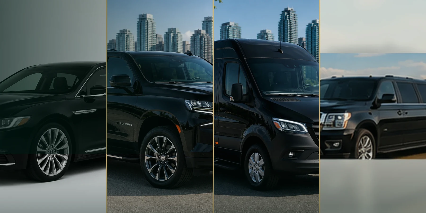 Fleet choices for Delta airport transportation