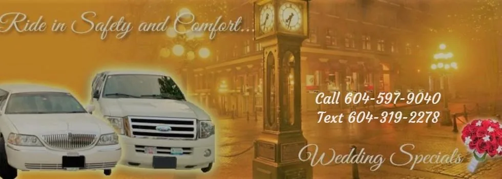 Delta Birthday Limousine Service